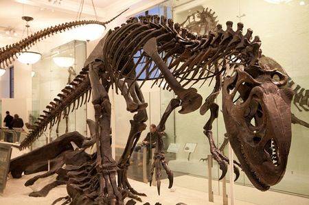 Dinosaur skeleton.jpg.696x0 q70 crop smart