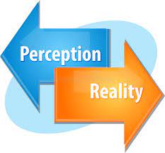 Perception Reality