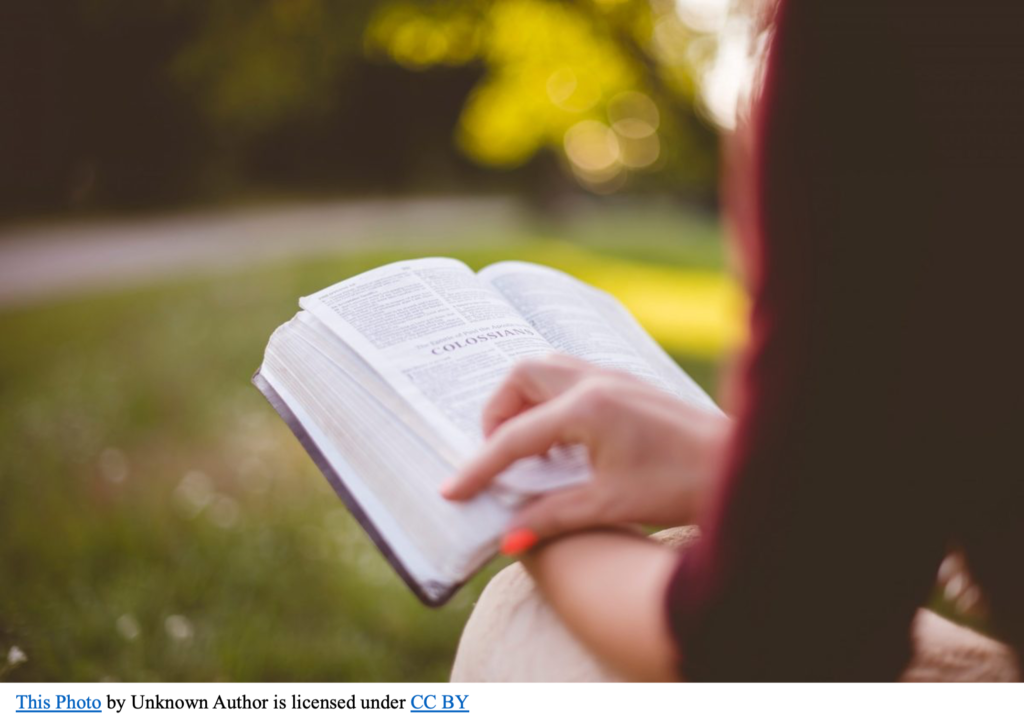 Summer Reading Plan Bellator Christi
